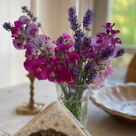 Bright And Cozy Summer On A Secluded Plot Feriehus *